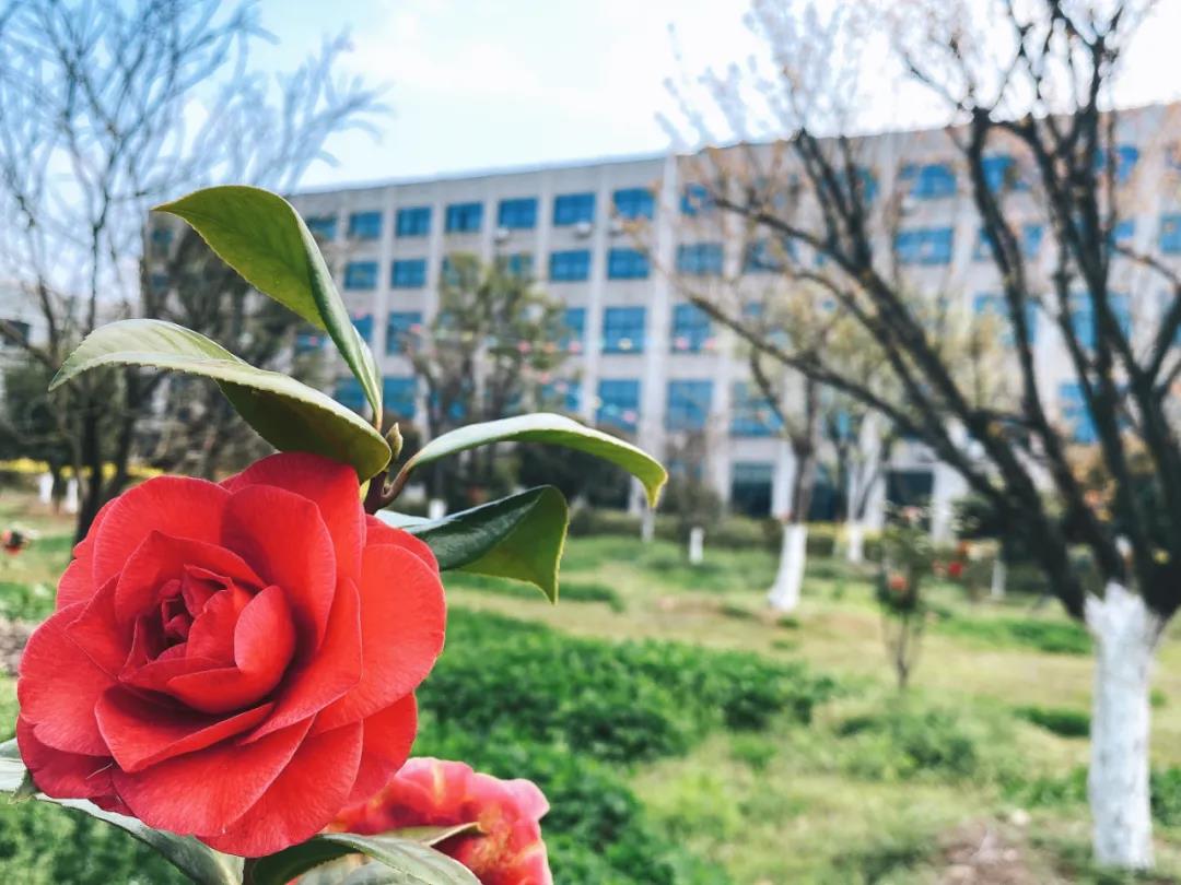風景這邊獨好！東大環境美景一覽，請查收